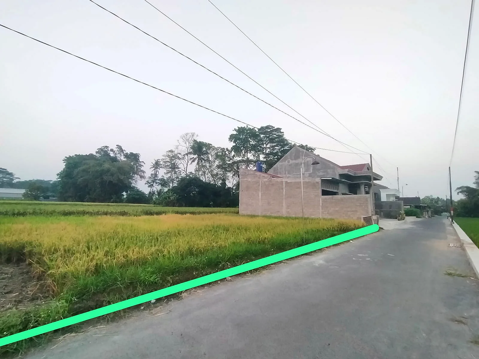 Galeri 2