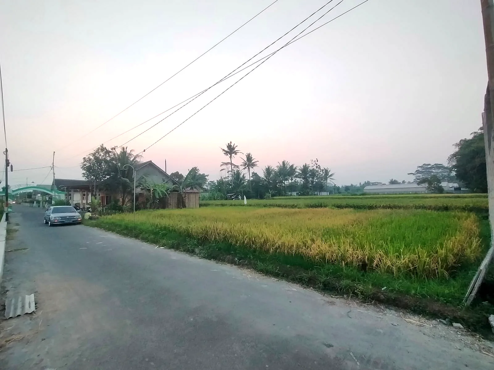 Galeri 3