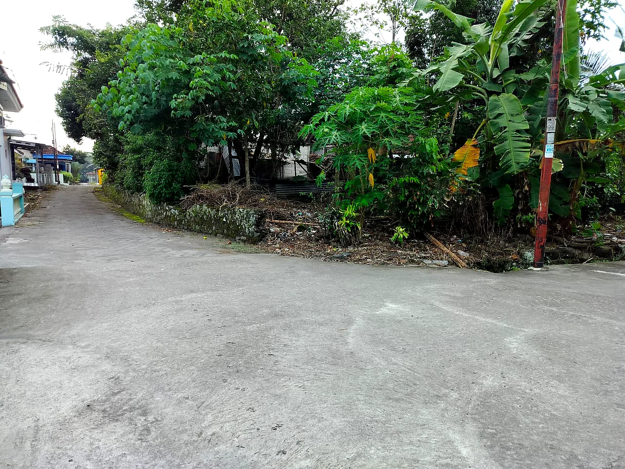 Galeri 2