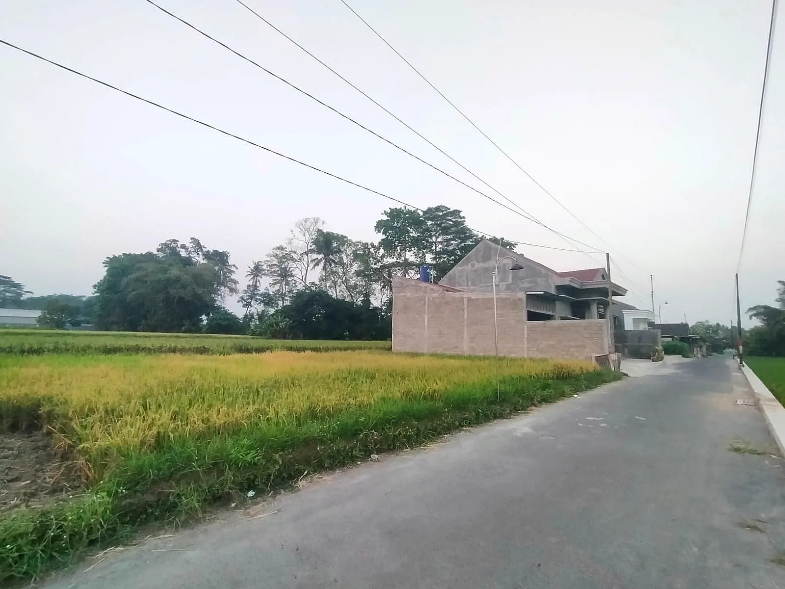 🌿 Dijual Tanah Cantik Strategis Dekat Jalan Selomartani, Kalasan, Sleman